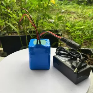 Bộ Cell Pin 12V 6000mAH + Sạc